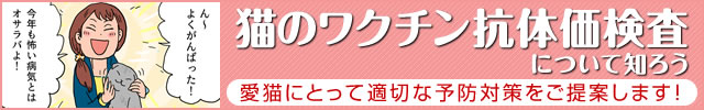 猫のワクチン抗体価検査について知ろう