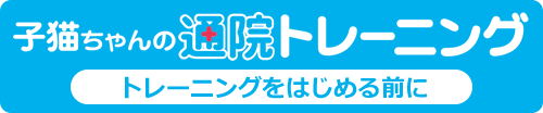 子猫ちゃんの通院トレーニング（準備編）