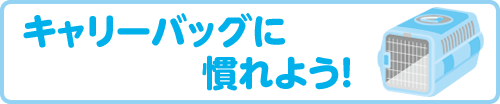 STEP2 キャリーバッグに慣れよう