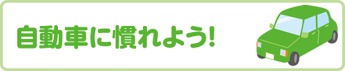 STEP3 自動車に慣れよう