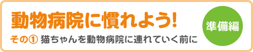 STEP4 動物病院に慣れよう その1