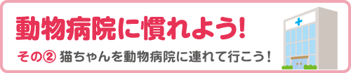 STEP5 動物病院に慣れよう その2