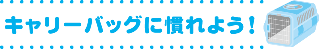 キャリーバッグに慣れよう！