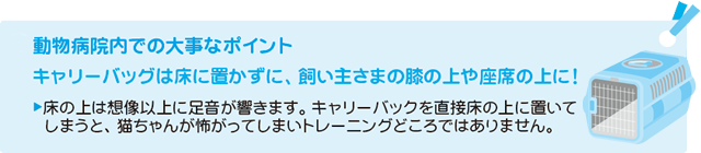 動物病院内での大事なポイント