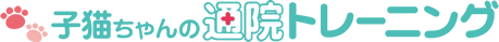 子猫ちゃんの通院トレーニング